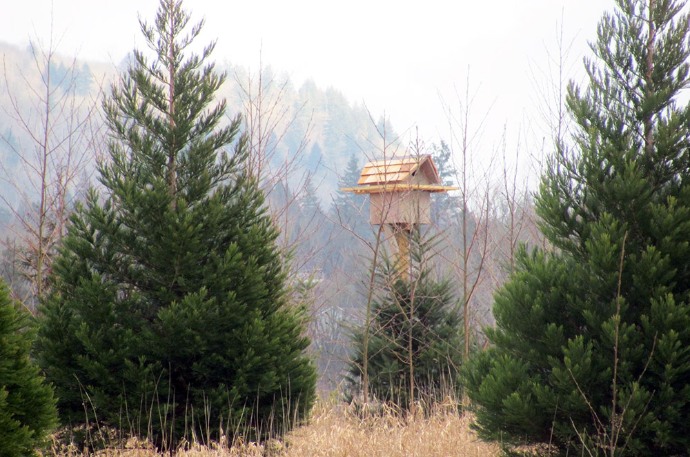 Abbotsford Mission Nature Club